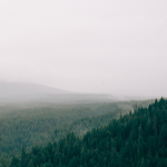 Purple And White Modern Web Development Services Instagram Post